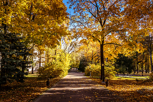 포토 JPG 해외이미지 주간 공원 단풍 낙엽 단풍나무 풍경 사람없음 야외 주황색 가을 공원길 해외포토 자연요소 나무 계절 공공시설 길 컬러 잎 파일형식 이미지허브