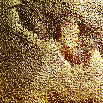 포토 JPG 해외이미지 모양 동물 라이프스타일 음식 곤충 백그라운드 패턴 자연 프레임 세포 사람없음 약 노란색 머리빗 업무 황금 달콤 꿀벌 묘사 질감 바쁨 꽃가루 육각형 꿀 고무 여왕 벌집 내추럴 고립 밀랍 양봉 양봉장 어려움 왁스 진짜 폴리곤 해외포토 도형 컬러 무늬 의학 생활 미용용품 작업 맛 벌_곤충 가루 생태계 파일형식 이미지허브