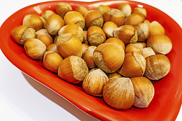 포토 JPG 해외이미지 그릇 재료 실내 사람없음 흰배경 개암나무 헤이즐넛 개암 해외포토 나무 식기 열매 백그라운드 내부 견과류 흰색 파일형식 이미지허브