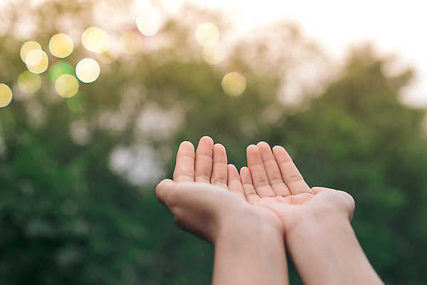 포토 JPG 해외이미지 주간 손 야외 아웃포커스 신체부위 보케 손모으기 해외포토 자연요소 촬영기법 사람 손짓 파일형식 이미지허브