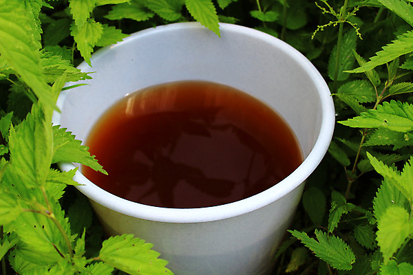 포토 JPG 해외이미지 자연 사람없음 정원 양동이 유기농 원예 거름 해외포토 웰빙 취미 생태계 파일형식 이미지허브