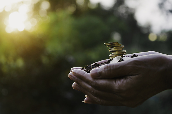 포토 JPG 해외이미지 손 백그라운드 컨셉 돈 비즈니스 성공 그래프 사람 사람없음 금융 경제 쌓기 달러 금속 동전 거래 저축 성장 흰색 바 시장 재산 황금 주식 심볼 속도 투자 상승 이익 보물 회계 보험 진행 대출 관심 수입 해외포토 컬러 모션 재질 신체부위 파일형식 이미지허브
