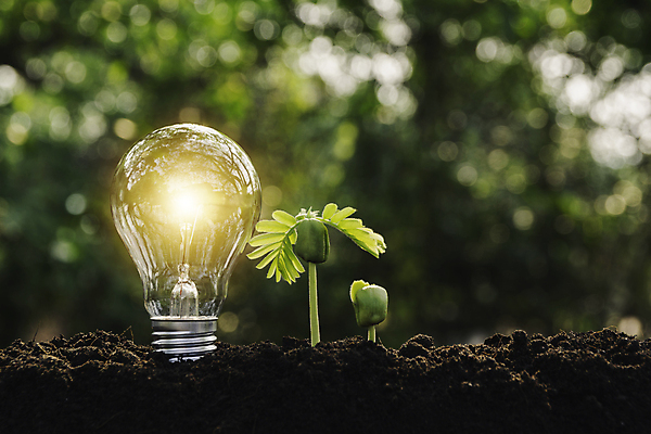 포토 JPG 해외이미지 모양 디자인 백그라운드 컨셉 비즈니스 전구 가정 자연 유리 조명 아이디어 매달리기 창조 사람없음 초록색 빛 환경 검은색 힘 재활용 장비 저축 에너지 흰색 램프 보호 정상 대표 오브젝트 백열등 만들기 빛망울 혁명 광 발명 효율 스타일 미니멀 해외포토 컬러 모션 재질 금융 친환경 생태계 파일형식 이미지허브