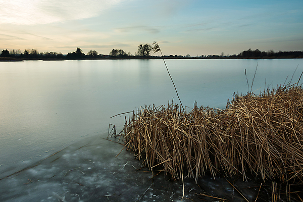포토 JPG 해외이미지 식물 계절 호수 백그라운드 겨울 자연 지팡이 하늘 날씨 건조 갈대 풍경 사람없음 야외 물 뷰티 환경 냉동 얼음 침묵 황혼 추위 연못 저녁 시원함 서리 장면 내추럴 수평선 해외포토 자연요소 소리 일몰 야간 생태계 파일형식 이미지허브