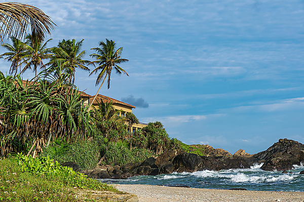 포토 JPG 해외이미지 나무 구름 아시아 모래 파도 바다 여행 자연 하늘 호텔 휴가 휴식 주택 손바닥 풍경 사람없음 야외 초록색 물 여름 파란색 모래사장 햇빛 태양 맑음 침묵 만 뜨거움 서핑 고급 휴양지 분무기 코코넛 내추럴 스리랑카 파라다이스 해외포토 자연요소 식물 손 계절 나라 컬러 컨셉 과일 숙소 날씨 건물 소리 장소 수상스포츠 생태계 파일형식 이미지허브
