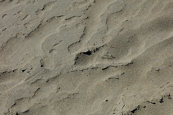 포토 JPG 해외이미지 계절 모래 바다 여행 자국 자연 하늘 표면 휴가 휴식 사랑 풍경 해변 사람없음 야외 여름 모래사장 햇빛 태양 평화 맑음 침묵 꿈 하트 서핑 인쇄 발자국 사인 휴양지 파라다이스 수평선 해외포토 자연요소 모양 감정 컨셉 날씨 소리 장소 수상스포츠 생태계 파일형식 이미지허브