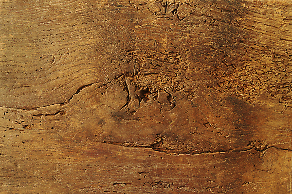 포토 JPG 해외이미지 디자인 외관 벽 백그라운드 패턴 자연 탁자 표면 날씨 추상 사람없음 건물 목재 장식 가로 갈색 어둠 공백 수확 시골 소나무 못 판넬 얼룩 거친 널 낟알 책상 질감 복고 목공예 잡동사니 내추럴 외양간 그런지 옛날 해외포토 나무 건축물 컬러 가구 무늬 농업 재료 공구 공예 생태계 파일형식 이미지허브