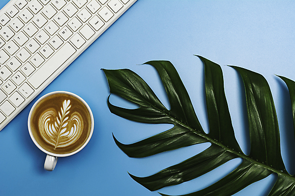 포토 JPG 해외이미지 식물 전통 커피 음료 음식 백그라운드 컨셉 잎 재료 콩 프레임 미술 씨앗 사람없음 목재 장식 컵 가로 초록색 갈색 우주 검은색 어둠 거품 카페 에너지 머그컵 수확 신선 뜨거움 닫기 아침식사 굽기 유기농 질감 복고 아로마 에스프레소 내추럴 단절 옛날 작살 카페인 해외포토 나무 식기 웰빙 컬러 농업 모션 문화예술 곡류 상점 식사 구이 파일형식 이미지허브