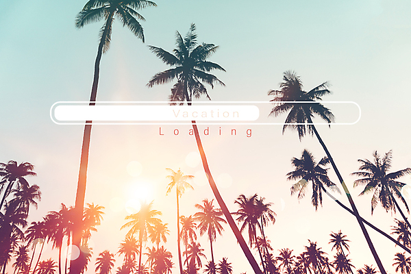 포토 JPG 해외이미지 주간 하늘 사람없음 야외 여름휴가 바캉스 야자수 햇빛 로딩 해외포토 자연요소 나무 휴가 태양 파일형식 여름_계절 이미지허브