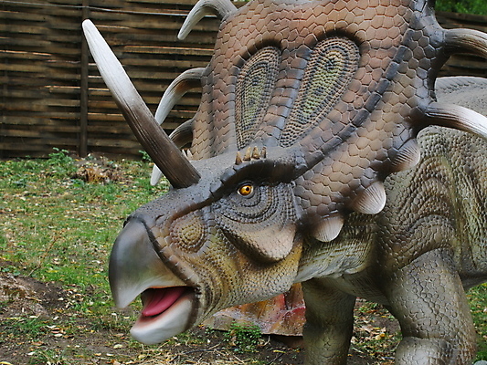 포토 JPG 해외이미지 모델 사람없음 숫자 머리 피규어 입 치아 공룡 흰배경 눈금 육식동물 선사시대 턱 몬스터 정물화 쥬라기 해외포토 동물 문자 백그라운드 파충류 신체부위 미니어처 흰색 소화기관 역사 그림 파일형식 이미지허브