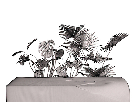 포토 JPG 해외이미지 모양 템플릿 디자인 백그라운드 컨셉 일러스트 추상 벽돌 서기 사람없음 장식 빛 유행 3D 우주 공백 블록 흰색 발표 고급 상품 받침대 오브젝트 진열장 질감 만들기 쇼 단상 옛날 지휘대 목업 미니멀리스트 미니멀 해외일러스트 컬러 무늬 모션 디지털합성 파일형식 이미지허브