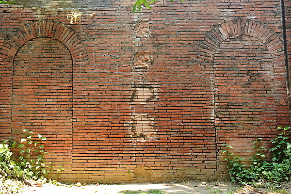 포토 JPG 해외이미지 벽 백그라운드 오렌지 표면 벽돌 주택 따뜻함 사람없음 건물 갈색 쌓기 거친 층 무거움 고체 콘크리트 해외포토 건축물 컬러 과일 모션 무게 파일형식 이미지허브