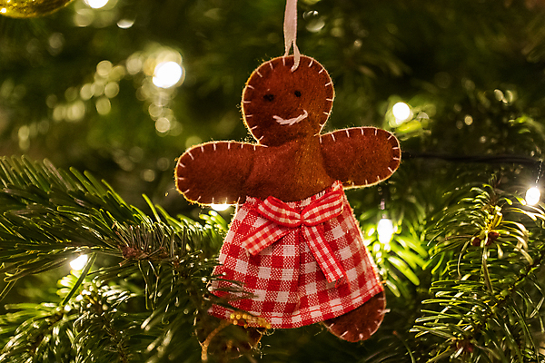 포토 JPG 해외이미지 나무 전통 계절 행복 별 종교 크리스마스 겨울 가족 휴가 주택 매달리기 선물 사랑 소년 사람없음 장식 빛 산타클로스 갈색 파티 축제 화환 기쁨 장식볼 흰색 나뭇가지 예수 니트 주기 마법 핸드메이드 클라우스 해외포토 자연요소 식물 기념일 남자 꽃 감정 어린이 컬러 상의 관계 모션 이벤트 건물 신_종교 파일형식 이미지허브