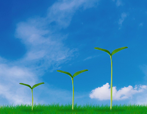 포토 JPG 해외이미지 식물 백그라운드 컨셉 비즈니스 자연 하늘 성공 아이디어 사람없음 초록색 물 금융 경제 파란색 판매 세일 도전 성장 절약 시장 주식 대표 리더 에코 투자 문제 이익 수익 해결 진행 개선 개발 경영 생태학 수입 업그레이드 전진 해외포토 자연요소 교육 컬러 환경 생태계 파일형식 이미지허브