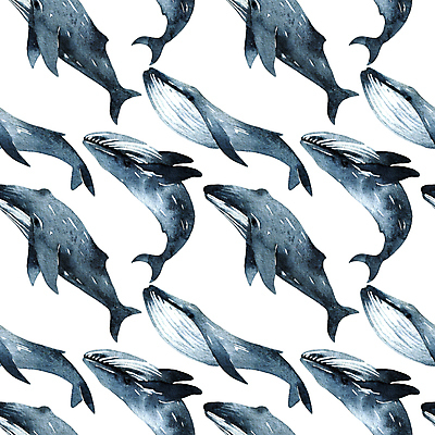 JPG 해외이미지 패턴 여러마리 일러스트 수채화 사람없음 고래 해외일러스트 다수 무늬 포유류 수중동물 파일형식 이미지허브