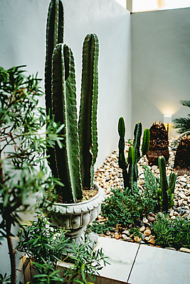 포토 JPG 해외이미지 직업 라이프스타일 산업 커피 음료 가구 백그라운드 의자 건축양식 탁자 아침 실내 요리 사람없음 내부 목재 장식 컵 인테리어 갈색 우주 상점 식당 검은색 식사 카페 수확 흰색 뜨거움 플랫 아침식사 큼 수집 먹기 계산대 아로마 바리스타 카푸치노 라떼 카페인 콘크리트 스타일 해외포토 주간 나무 식기 디자인 건축 컬러 생활용품 농업 재료 모션 생활 크기 파일형식 이미지허브
