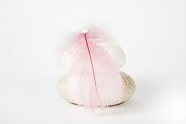 포토 JPG 해외이미지 길 분홍색 백그라운드 컨셉 조류 추상 아이디어 미술 사람없음 빛 컬러풀 뷰티 회색 흰색 작음 깃털 오브젝트 부드러움 내추럴 거짓말 고립 해외포토 동물 컬러 무늬 문화예술 감각 크기 파일형식 이미지허브