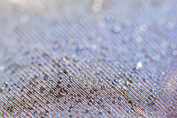 포토 JPG 해외이미지 백그라운드 추상 사람없음 파란색 빛 컬러풀 보케 블러 해외포토 컬러 무늬 파일형식 이미지허브