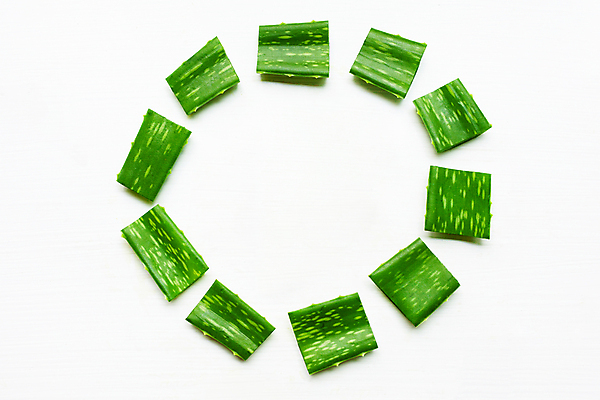 포토 JPG 해외이미지 스튜디오촬영 실내 사람없음 뷰티 흰배경 알로에 해외포토 식물 백그라운드 내부 흰색 파일형식 이미지허브