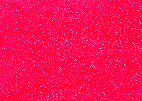 포토 JPG 해외이미지 디자인 종이 벽 백그라운드 지도 패턴 표면 추상 미술 사람없음 그래픽 장식 빨간색 컬러풀 페인트 수확 골동품 흰색 점 거친 매끈함 낟알 질감 복고 심플 캔버스 진홍색 시트 그런지 석고 옛날 프로젝트 해외포토 컬러 무늬 농업 문화예술 감각 파일형식 이미지허브