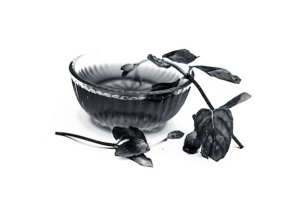 포토 JPG 해외이미지 접시 꽃 음료 음식 백그라운드 다이어트 재료 자연 유리 탁자 귤 건조 건강 동양인 사람없음 목재 컵 초록색 약 노란색 숟가락 검은색 중국 주스 추위 신선 뜨거움 액체 달콤 맛 아침식사 설탕 먹기 레몬 민트 허브 상쾌 유기농 시럽 꿀 생강 벌집 투입 해외포토 나무 식물 식기 웰빙 감정 아시아 컬러 가구 컨셉 채소 과일 의학 모션 재질 수저 인종 식사 생태계 파일형식 이미지허브