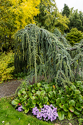 포토 JPG 해외이미지 나무 식물 공원 꽃 길 분홍색 여행 백그라운드 잎 자연 하늘 영국 잉글랜드 풍경 잔디 사람없음 야외 초록색 여름 파란색 컬러풀 뷰티 갈색 노란색 환경 정원 보라색 침묵 봄 가을 흰색 시골 개화 숲 붓꽃 내추럴 제라늄 해외포토 계절 공공시설 유럽 컬러 소리 생태계 파일형식 이미지허브