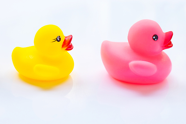 포토 JPG 해외이미지 사람없음 장난감 오브젝트 고무 오리인형 오리장난감 해외포토 인형 파일형식 이미지허브