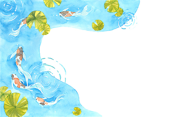 JPG 해외이미지 여러마리 일러스트 수채화 사람없음 연잎 그림 비단잉어 카피스페이스 해외일러스트 다수 잎 공백 민물고기 파일형식 이미지허브