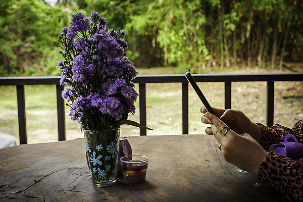 포토 JPG 해외이미지 라이프스타일 꽃 행복 백그라운드 컨셉 꽃무늬 인터넷 비즈니스 사업가 모바일 주택 사람없음 스마트폰 핸드폰 유행 세일 상점 디지털 보라색 사진촬영 작업 시장 구매 연결 스마트 상업 푸딩 온라인 승진 전자상거래 마케팅 매각 소셜 쇼퍼홀릭 힙스터 해외포토 식물 직업 패션 감정 컬러 무늬 디저트 건물 생활 전자제품 스마트기기 쇼핑 촬영 파일형식 이미지허브