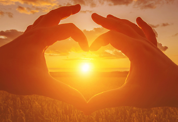 포토 JPG 해외이미지 손 풍경 초원 신체부위 햇빛 일몰 감성 손하트 해외포토 컨셉 사람 손짓 태양 노을 파일형식 이미지허브