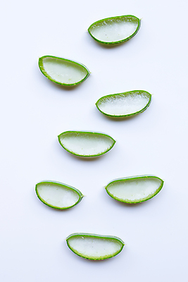 포토 JPG 해외이미지 스튜디오촬영 단면 실내 사람없음 하이앵글 뷰티 흰배경 알로에 해외포토 식물 뷰포인트 백그라운드 내부 흰색 파일형식 이미지허브