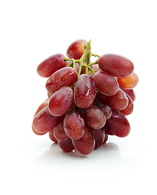 포토 JPG 해외이미지 열매 클리핑패스 음식 백그라운드 잎 다이어트 과일 자연 포도 디저트 건강 사람없음 빨간색 초록색 여름 주스 수확 가을 흰색 나뭇가지 신선 그룹 달콤 다발 유기농 포도나무 숙성 양조장 많음 해외포토 나무 식물 웰빙 계절 음료 컬러 컨셉 농업 맛 과일나무 생태계 파일형식 이미지허브