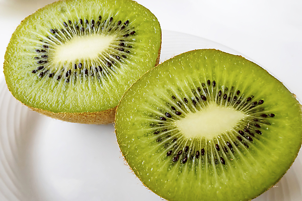 포토 JPG 해외이미지 그릇 조각 백그라운드 단면 키위 사람없음 초록색 달콤 상큼 키위씨 해외포토 식기 컬러 과일 씨앗 맛 파일형식 이미지허브