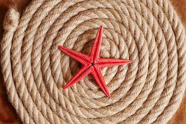 포토 JPG 해외이미지 종이 밧줄 백그라운드 불가사리 사람없음 갈색 회오리 질감 카피스페이스 해외포토 줄 컬러 극피동물 공백 파일형식 이미지허브