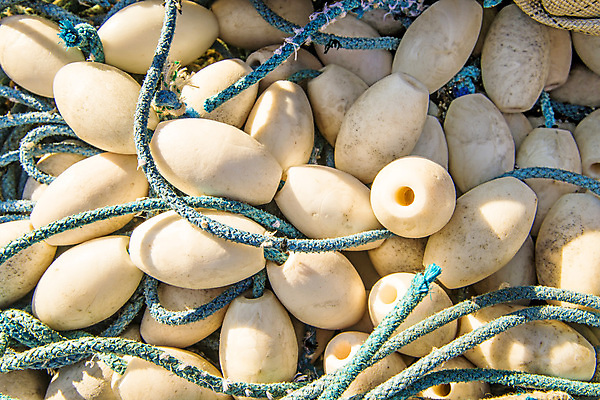 포토 JPG 해외이미지 직업 밧줄 바다 백그라운드 낚시 어류 사람없음 장비 공구 그물 오브젝트 상승 매듭 수영선수 포수 해외포토 줄 컨셉 레저 운동선수 수중동물 도구 야구선수 파일형식 이미지허브