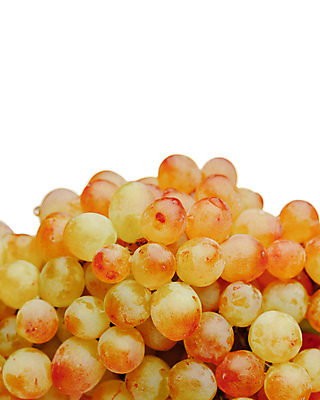 포토 JPG 해외이미지 식물 음식 분홍색 백그라운드 농업 과일 부분 자연 포도 건강 사람없음 빨간색 초록색 컬러풀 노란색 와인 보라색 이탈리아 수확 흰색 나뭇가지 신선 달콤 상품 포도나무 흙더미 내추럴 고립 숙성 카피스페이스 해외포토 나무 유럽 산업 컬러 주류 흙 공백 맛 과일나무 생태계 파일형식 더미 이미지허브