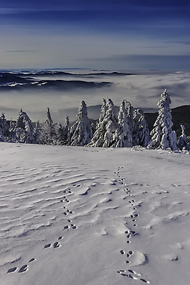 포토 JPG 해외이미지 나무 구름 계절 유럽 여행 겨울 자연 하늘 휴가 산 풍경 경사 사람없음 야외 세로 파란색 평화 냉동 얼음 하이킹 추위 흰색 시골 정상 숲 서리 정사각형 장면 체코 내추럴 폭설 눈내림 해외포토 자연요소 도형 식물 나라 컬러 컨셉 레저 눈_날씨 자연재해 생태계 파일형식 이미지허브