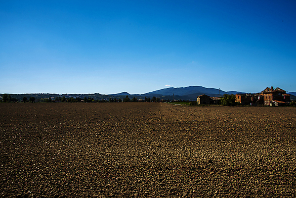 포토 JPG 해외이미지 식물 계절 유럽 산업 지구 여행 백그라운드 밭 농업 자연 풍경 사람없음 야외 초록색 여름 농작물 농장 농경지 갈색 노란색 마을 정원 계곡 흙 봄 이탈리아 안개 가을 시골 신선 땅 만취 언덕 유기농 질감 땅바닥 밭일 뿌연 토스카나 세련 해외포토 웰빙 나라 컬러 날씨 바닥 생태계 술취함 파일형식 이미지허브