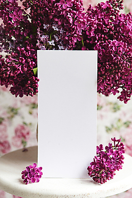 포토 JPG 해외이미지 종이 프레임 사람없음 아웃포커스 뷰티 라일락 목업 해외포토 꽃 촬영기법 파일형식 이미지허브