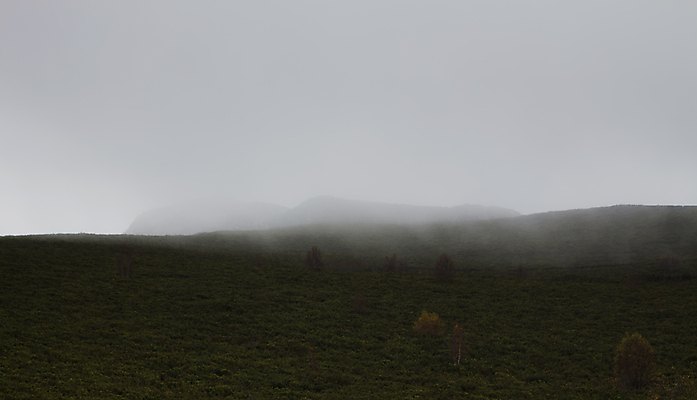 포토 JPG 해외이미지 나무 계절 여행 자연 아침 날씨 산 풍경 사람없음 야외 환경 트래킹 추위 안개 가을 시골 고독 숲 신비 언덕 폭풍 방법 뿌연 수평선 미니멀리스트 해외포토 주간 식물 감정 컨셉 레저 생태계 파일형식 이미지허브