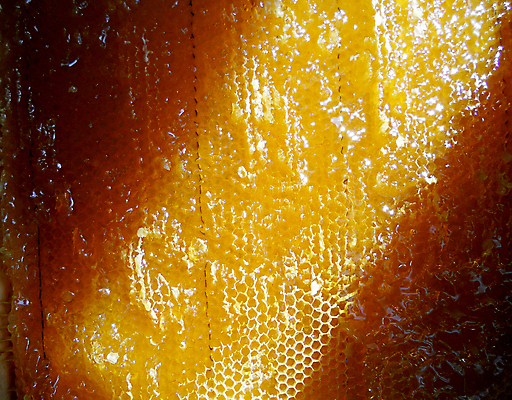 포토 JPG 해외이미지 동물 음식 곤충 백그라운드 패턴 오렌지 자연 세포 건강 사람없음 야외 약 농장 노란색 시골 신선 머리빗 황금 달콤 맛 꿀벌 배열 묘사 질감 꽃가루 육각형 꿀 벌집 내추럴 고립 밀랍 양봉 양봉장 왁스 폴리곤 해외포토 도형 컬러 컨셉 무늬 농업 과일 의학 미용용품 벌_곤충 가루 생태계 파일형식 이미지허브