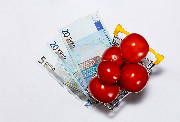 포토 JPG 해외이미지 식물 음식 돈 농업 다이어트 토마토 채소 과일 재료 자연 건강 요리 사람없음 빨간색 금융 쇼핑 바구니 카트 거래 저축 유로 흰색 신선 시장 작음 무역 상쾌 유기농 원예 상업 날것 내추럴 고립 숙성 채식주의자 카피스페이스 해외포토 웰빙 감정 산업 컬러 취미 경제 공백 재산 크기 생태계 채식 파일형식 이미지허브