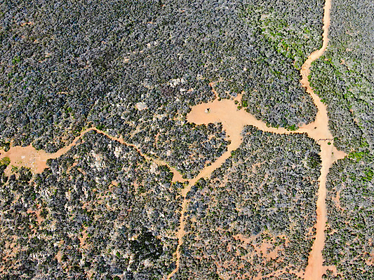 포토 JPG 해외이미지 구름 계절 여행 백그라운드 자연 하늘 산 건조 건강 풍경 사람없음 야외 빨간색 초록색 여름 파란색 운동 환경 계곡 맑음 미국 산책 트래킹 활발 산책로 하이킹 바위 캘리포니아 장면 이웃 조감도 해외포토 자연요소 길 컬러 컨셉 북아메리카 레저 날씨 휴식 돌_바위 생태계 파일형식 이미지허브