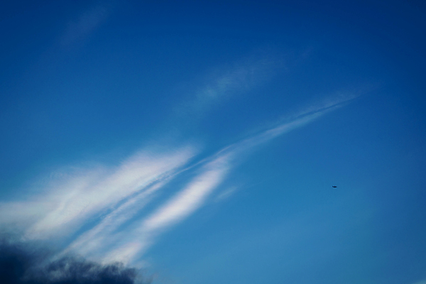 포토 JPG 해외이미지 구름 백그라운드 패턴 모션 자연 벽지 하늘 바람 날씨 추상 풍경 사람없음 야외 여름 파란색 빛 햇빛 태양 뷰티 환경 침묵 봄 활발 자유 흰색 분위기 질감 장면 천국 내추럴 깊이 몽환 해외포토 자연요소 계절 컬러 컨셉 무늬 소리 생태계 파일형식 이미지허브