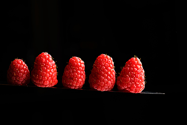 포토 JPG 해외이미지 스튜디오촬영 계절 열매 음식 과일 딸기 검은배경 추상 잉글랜드 건강 사람없음 빨간색 여름 컬러풀 주방 사진촬영 활발 신선 맛 균형 먹기 그림 산딸기 식용 정물화 줄서기 카피스페이스 해외포토 식물 컬러 백그라운드 컨셉 무늬 모션 영국 실내 검은색 촬영 공백 파일형식 이미지허브