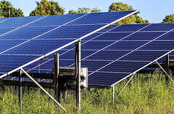 포토 JPG 해외이미지 주간 풍경 사람없음 야외 풀 태양에너지 집열판 해외포토 자연요소 식물 그린에너지 파일형식 이미지허브