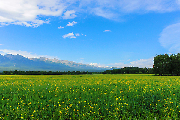 포토 JPG 해외이미지 나무 식물 구름 디자인 공원 꽃 여행 백그라운드 컨셉 잎 패턴 일러스트 창문 자연 탁자 하늘 휴식 노동자 산 풍경 잔디 사람없음 초록색 여름 파란색 단어 노란색 봄 흰색 시골 신선 뜨거움 신용카드 메시지 매끈함 그림 러시아 스텝 시베리아 해외포토 자연요소 직업 문자 계절 공공시설 유럽 컬러 가구 무늬 금융 감각 생태계 파일형식 이미지허브