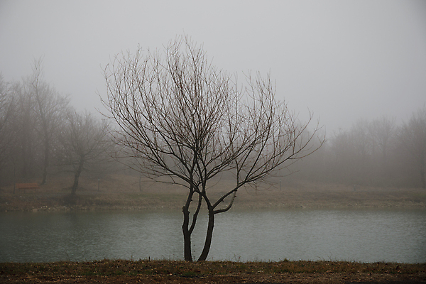 포토 JPG 해외이미지 나무 계절 호수 백그라운드 겨울 자연 하늘 아침 낚시 날씨 산 풍경 사람없음 야외 물 여름 파란색 빛 강 햇빛 반사 평화 일출 환경 어둠 침묵 새벽 젖음 추위 안개 가을 연못 소나무 황무지 숲 속도 장면 공상 내추럴 뿌연 아제르바이잔 어안 해외포토 주간 자연요소 식물 나라 컬러 컨셉 레저 태양 노을 소리 생태계 파일형식 이미지허브