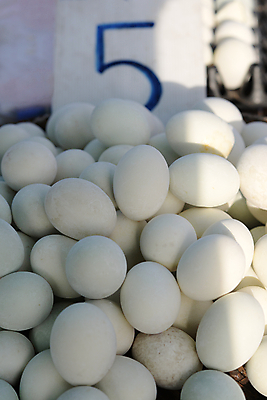 포토 JPG 해외이미지 전통 음식 백그라운드 재료 태국 자연 건강 요리 동양인 사람없음 야외 식사 에너지 흰색 신선 원형 조미료 그룹 시장 맛 먹기 유기농 칼로리 내추럴 단백질 삶기 절임 해외포토 도형 웰빙 아시아 컬러 컨셉 모션 인종 생태계 영양소 향미료 파일형식 이미지허브