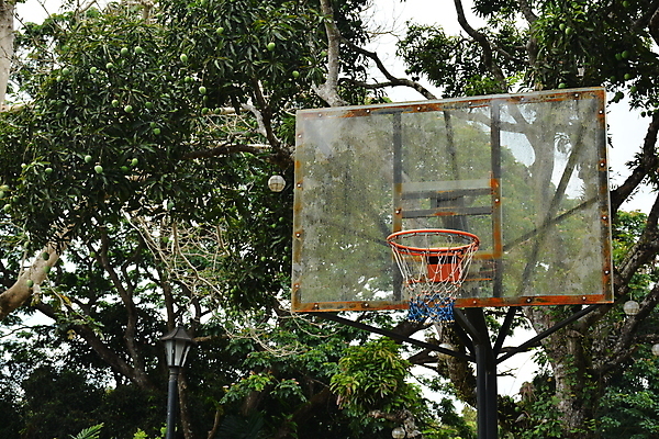 포토 JPG 해외이미지 공원 스포츠 공 유리 놀이 농구 사람없음 야외 게임 반지 투명 발사 테두리 섬유 설치 해외포토 공공시설 장신구 재질 구기 직물 파일형식 이미지허브